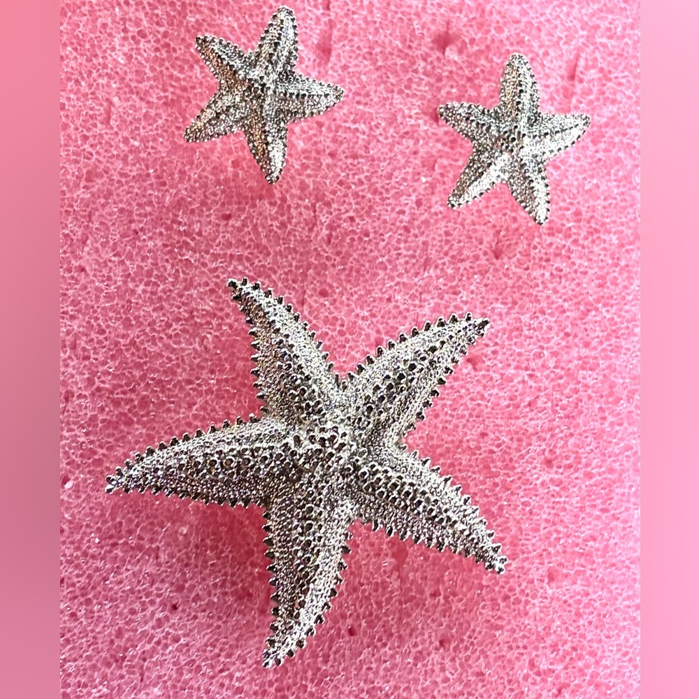 Vintage Monet Silver Starfish Brooch and clip on earrings set